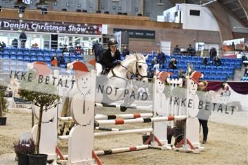 161006_abo_01__D051152.JPG