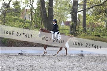 174512_mtp_01_3M5A7101.JPG