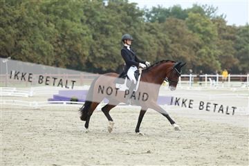 181923_mtp_03_R62_7811.JPG