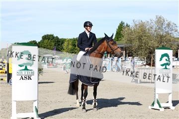 181436_avh_01_3404.JPG