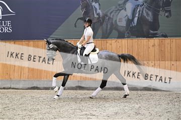 181595_kbb_01_Z097992.JPG