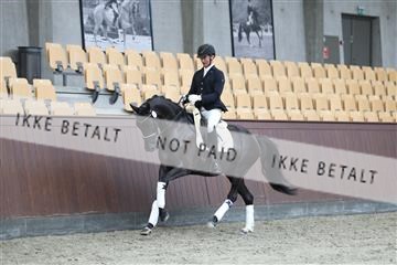 181852_mtp_04_R62_2667.JPG