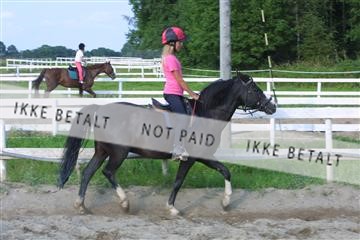 110-1036_IMG.JPG