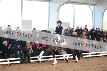 179022_kbb_01_R6II2468.JPG