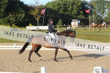 148862_sg_01_IMG_2105.JPG