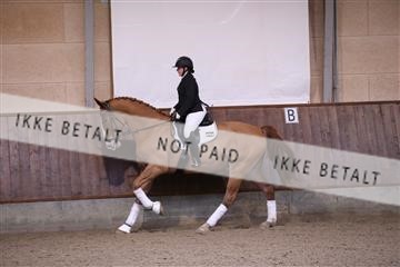 173821_mtp_01_3M5A8496.JPG