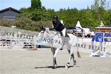 181436_avh_02_3863.JPG