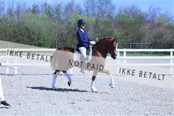 174513_jss_01_R6II8414.JPG