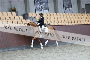 181852_mtp_04_R62_2694.JPG