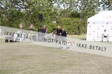 181848_kar_01__62_3785.JPG