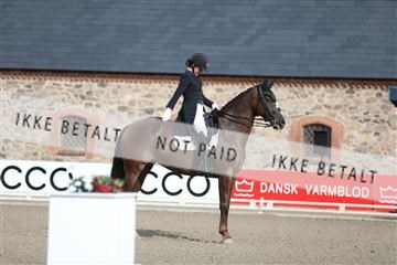 181957_mtp_06_3M5A1196.JPG