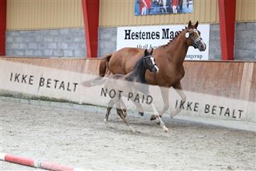 181868_mtp_03_R62_5788.JPG