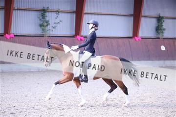 173883_mtp_01_3M5A0330.JPG