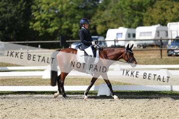 181894_mtp_05_R62_4769.JPG