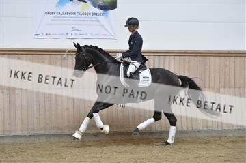 160111_nn_01__ESK2175.JPG