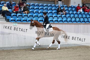 181887_mtp_04_R62_8250.JPG