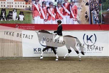 181957_avh_01_2805.JPG