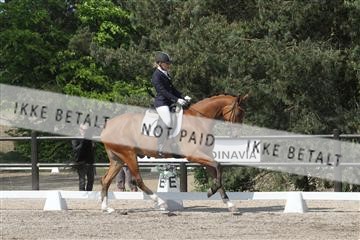 135086_sg_01_IMG_0015.JPG