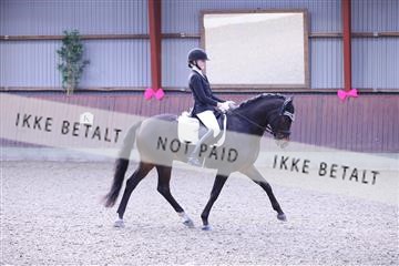 173883_mtp_01_3M5A0448.JPG