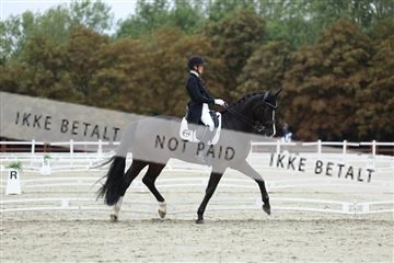 181923_mtp_01_R62_6859.JPG