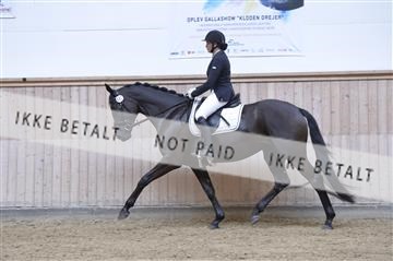 160111_nn_01__ESK1403.JPG