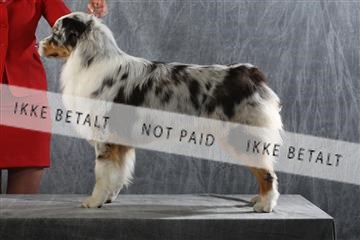 129608_le_ 01_0830.JPG