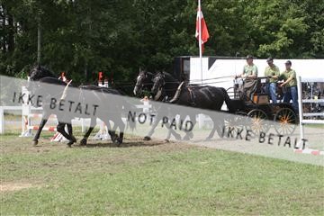 5925_ma_05_IMG_1242.JPG