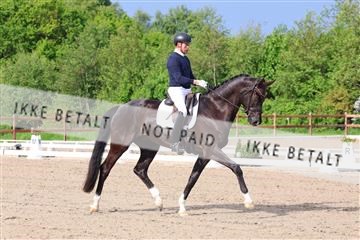 181449_bc_01R62_6595.JPG