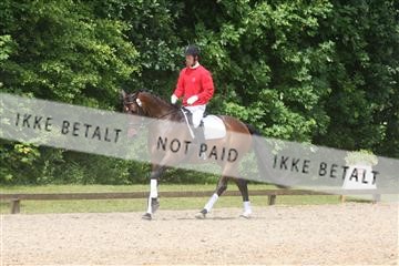 135518_ms_01_IMG_1291.JPG