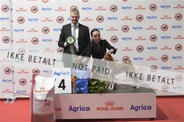178657_kar_02__8501527.JPG