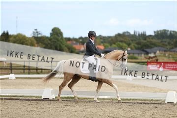 181894_mtp_03_R62_2735.JPG