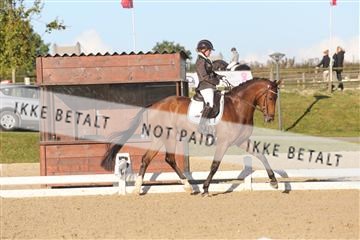 148862_sg_01_IMG_2513.JPG