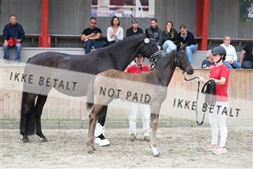 181868_mtp_03_R62_5999.JPG