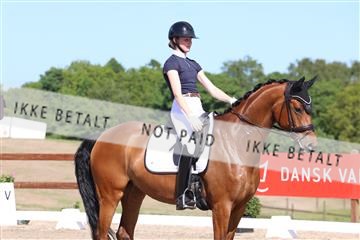181449_bc_01R62_5945.JPG
