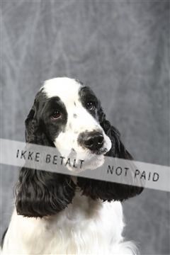 129608_le_ 01_0513.JPG