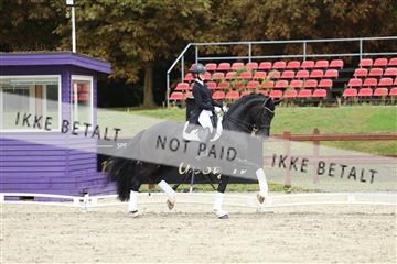 181923_mtp_03_R62_7989.JPG