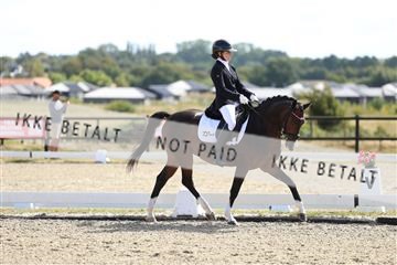 181894_mtp_02_R62_1715.JPG