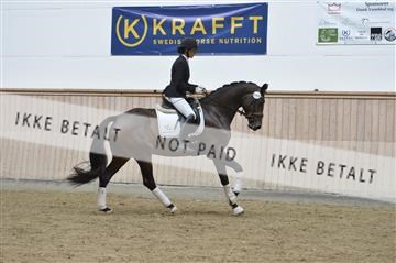 160111_nn_01__ESK1695.JPG