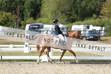 181894_mtp_05_R62_5006.JPG