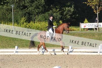 148862_sg_01_IMG_2269.JPG