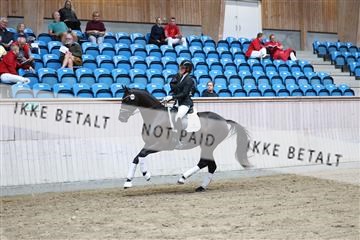 181887_mtp_04_R62_8584.JPG