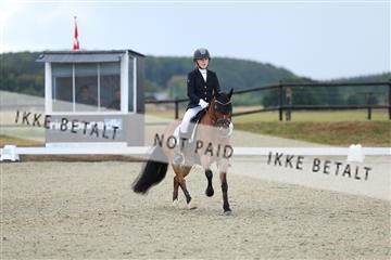 181894_mtp_05_R62_4193.JPG