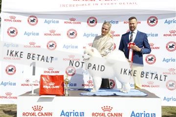 181848_kar_01__62_2016.JPG
