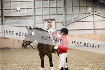 178265_bc_01_R62_0145.JPG