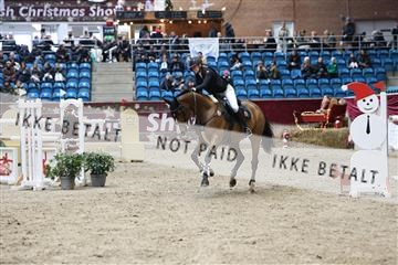 175934_avh_01_6594.JPG