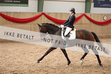 171342_mtp_01_3M5A7868.JPG