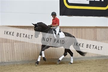 160111_nn_01__ESK1393.JPG