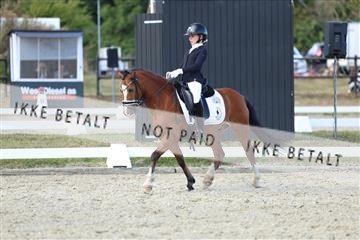 181894_mtp_05_R62_5313.JPG