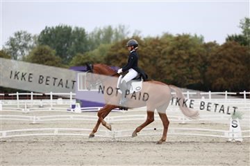 181923_mtp_01_R62_6178.JPG