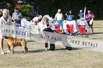 181848_kar_01__62_2716.JPG
